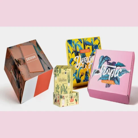 Printed Mailer Boxes1