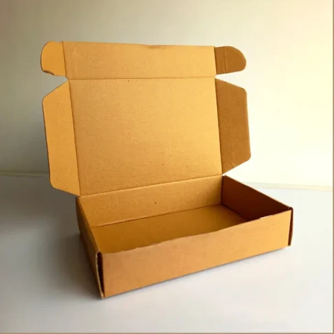 Takeout Mailer Box